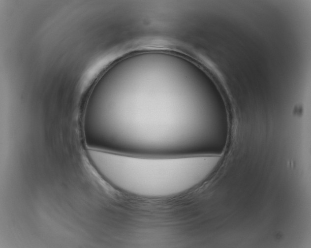 X0000111381464200907100926