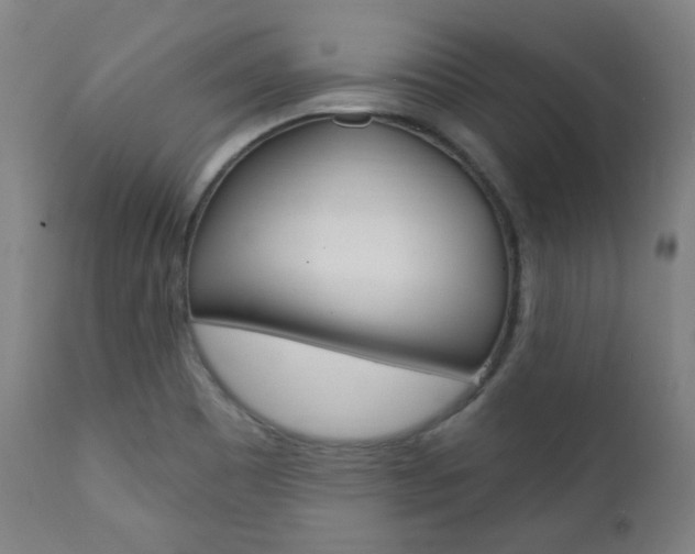 X0000111381465200907100926