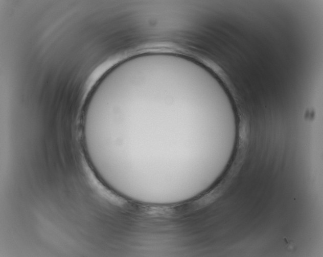 X0000111381466200907100926