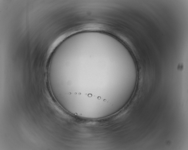 X0000111381467200907100926