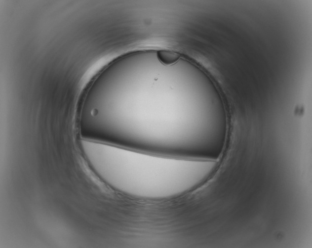 X0000111381469200907100926
