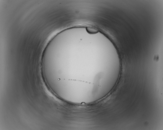 X0000111381471200907100926