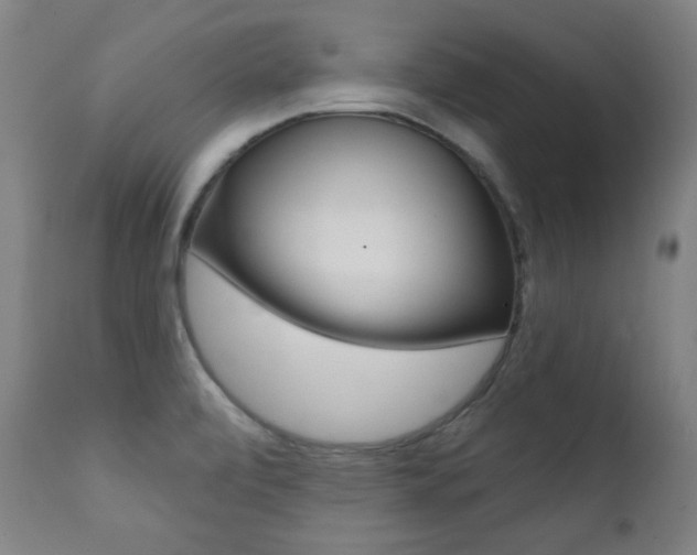 X0000111381472200907100926