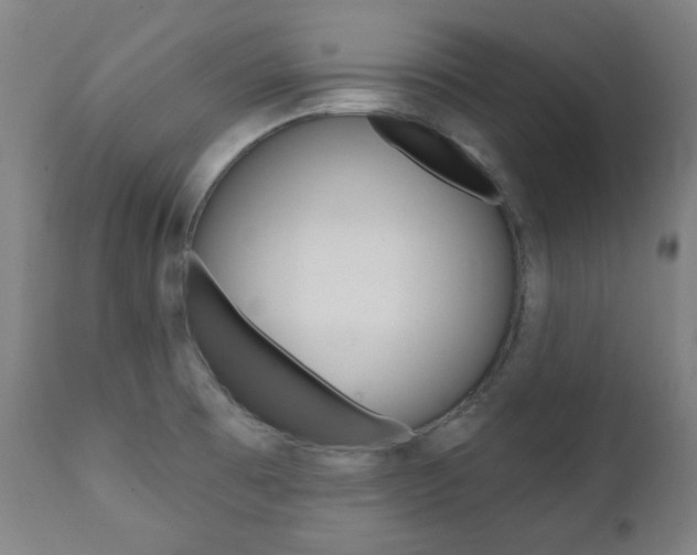 X0000111381473200907100926