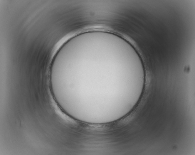 X0000111381474200907100926