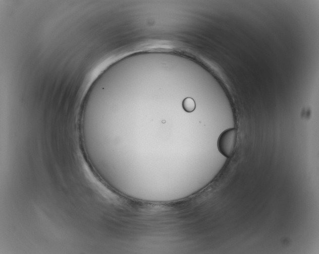 X0000111381475200907100926