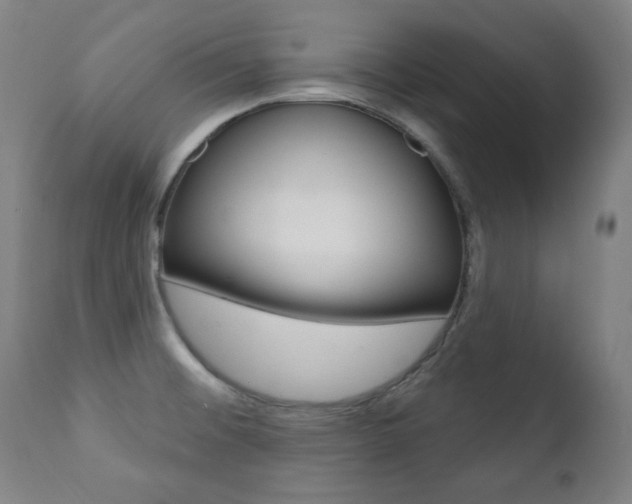 X0000111381476200907100926