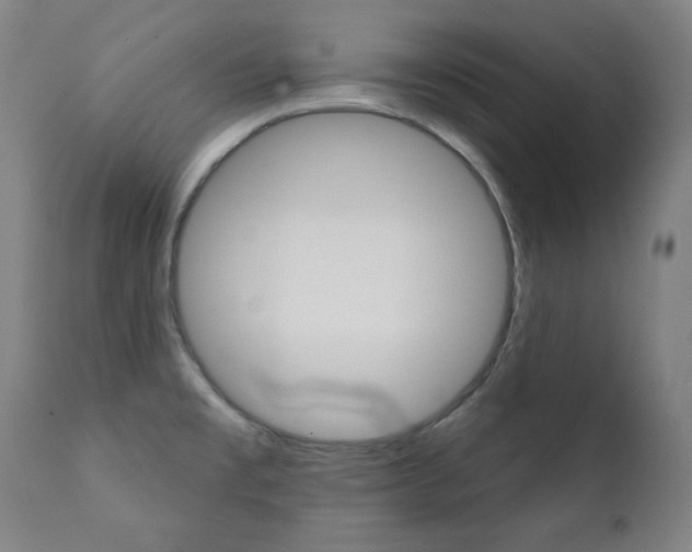 X0000111381477200907100926