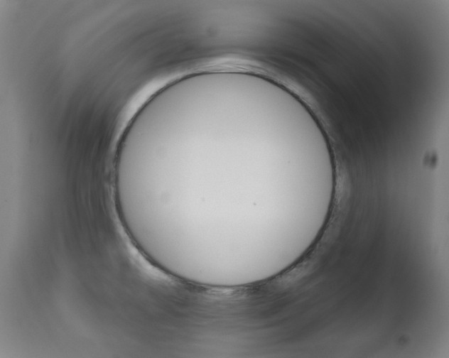 X0000111381478200907100926