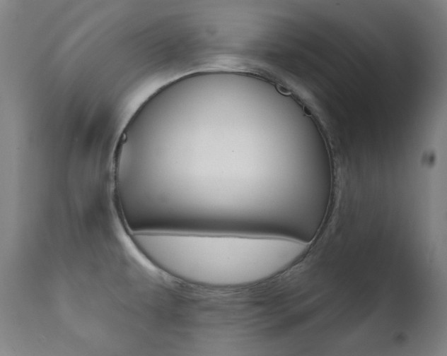 X0000111381479200907100926