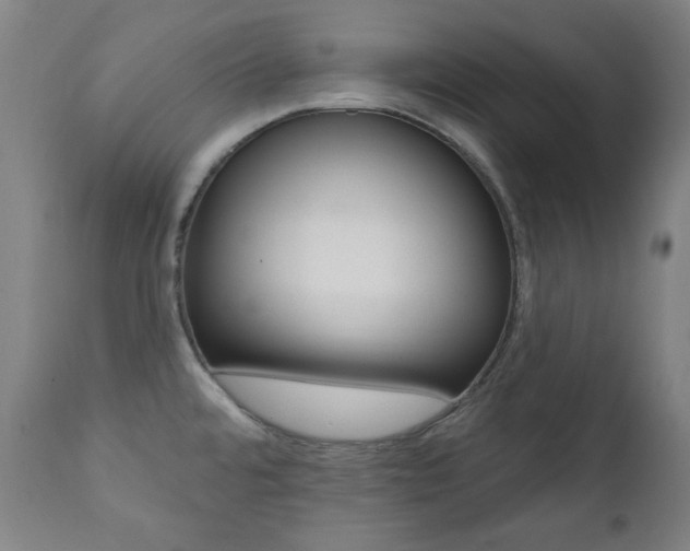 X0000111381480200907100926