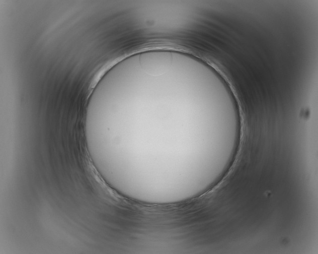 X0000111381481200907100926