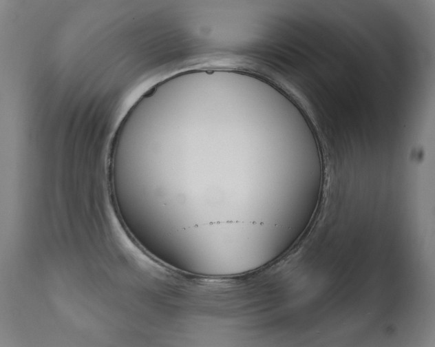 X0000111381483200907100926