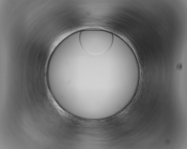 X0000111381485200907100926