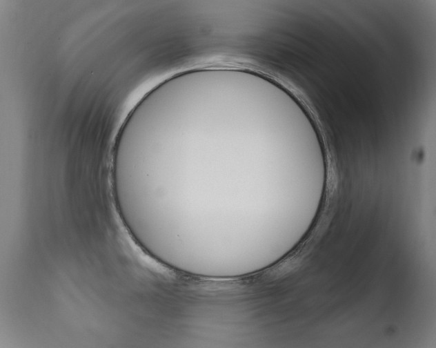 X0000111381486200907100926