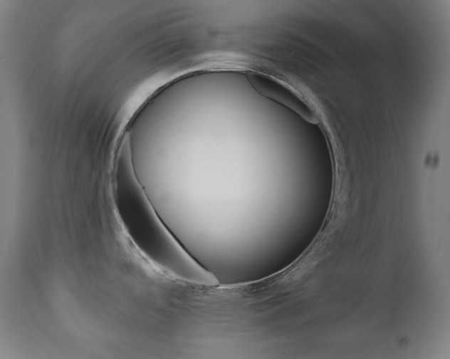 X0000111381488200907100926