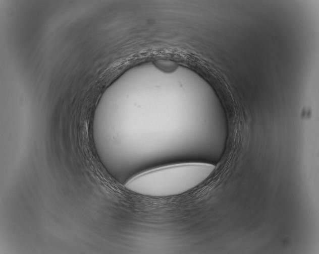 X0000111381489200907100925