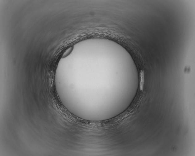 X0000111381491200907100925