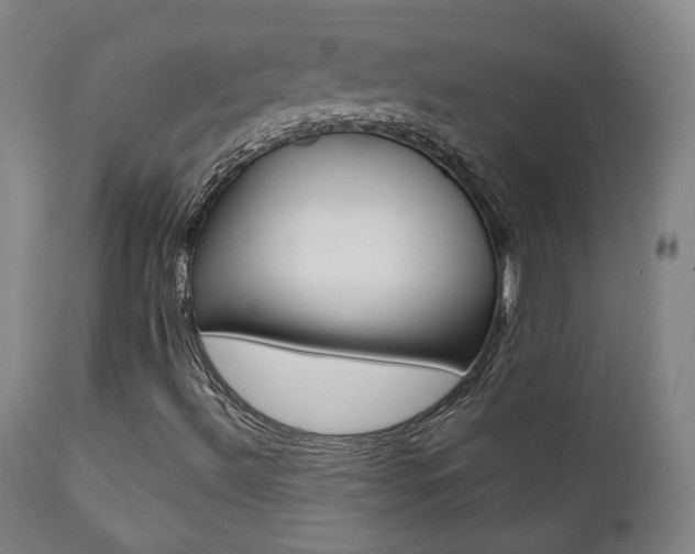 X0000111381492200907100925