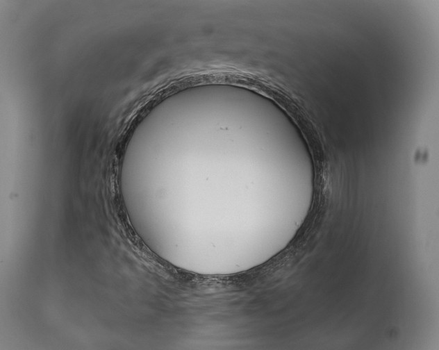 X0000111381493200907100925