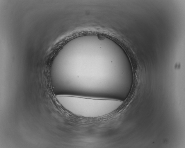 X0000111381494200907100925
