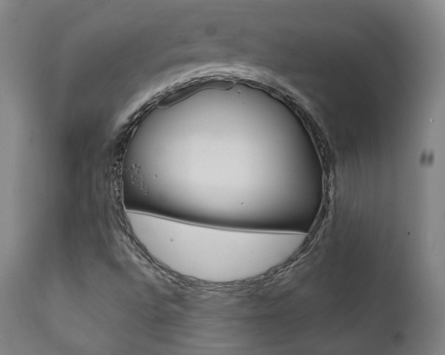 X0000111381496200907100925