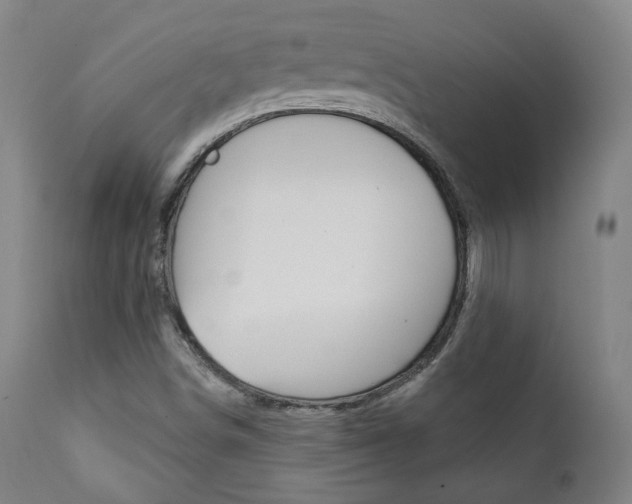 X0000111381498200907100925