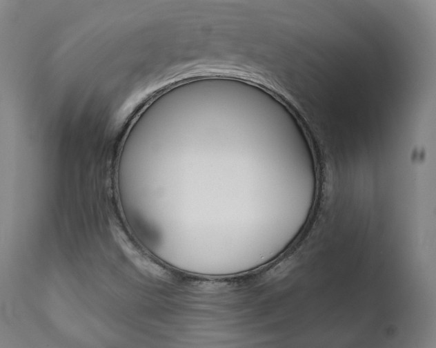 X0000111381499200907100925