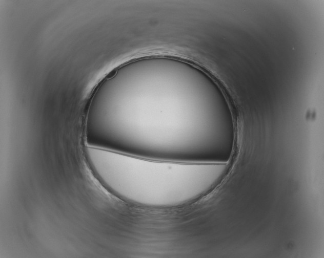X0000111381500200907100925