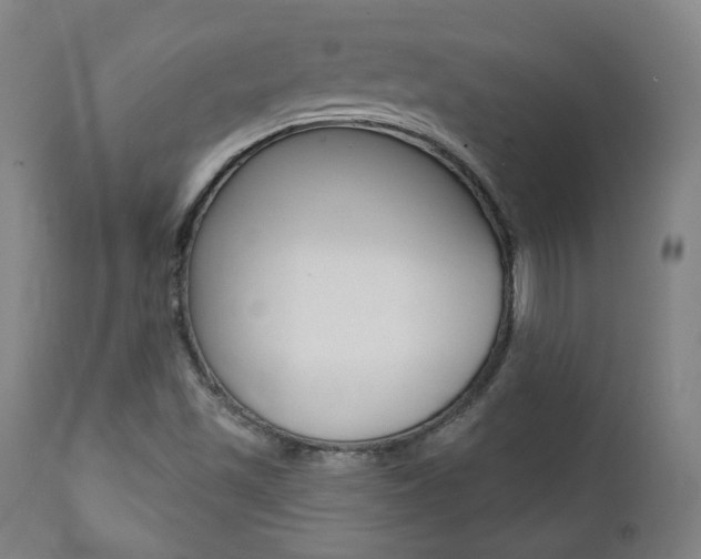 X0000111381501200907100925