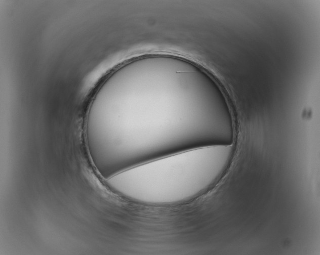 X0000111381503200907100925