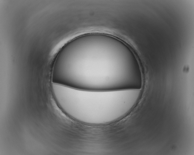 X0000111381504200907100925