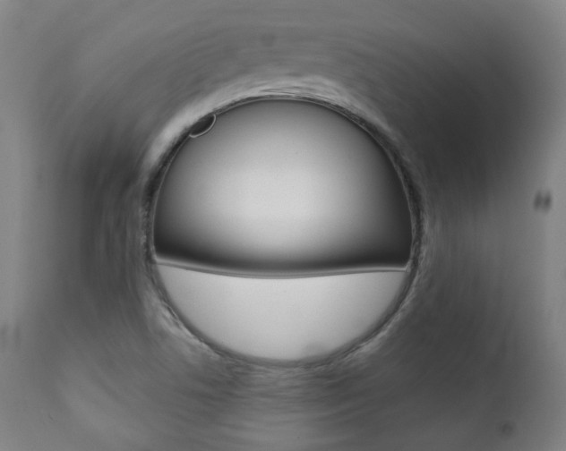 X0000111381506200907100925