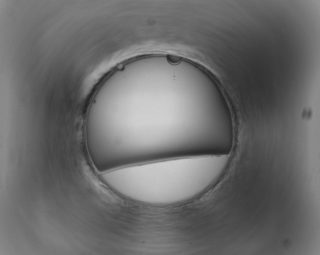 X0000111381507200907100925