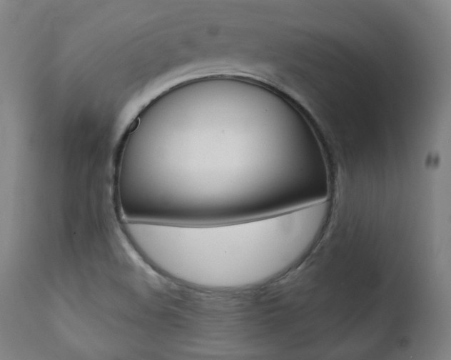 X0000111381508200907100925