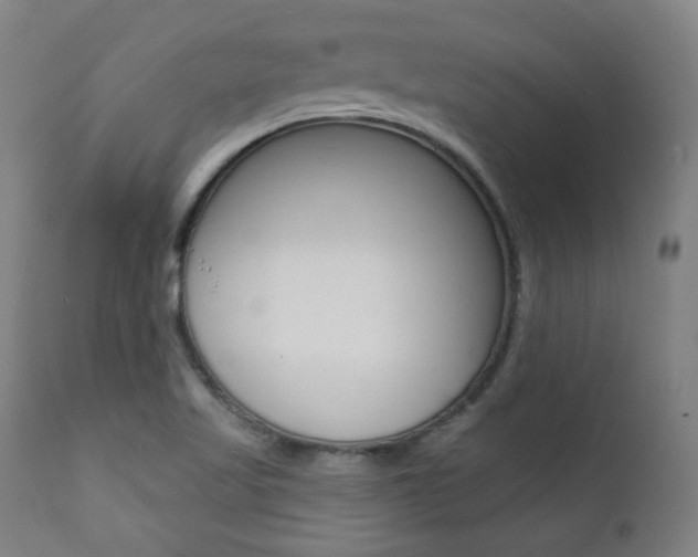 X0000111381509200907100925