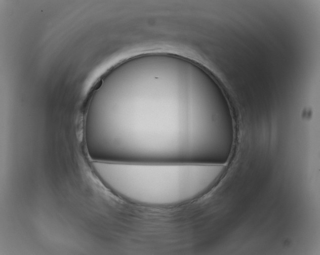X0000111381510200907100925