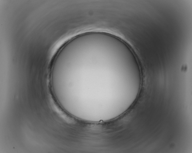 X0000111381511200907100925