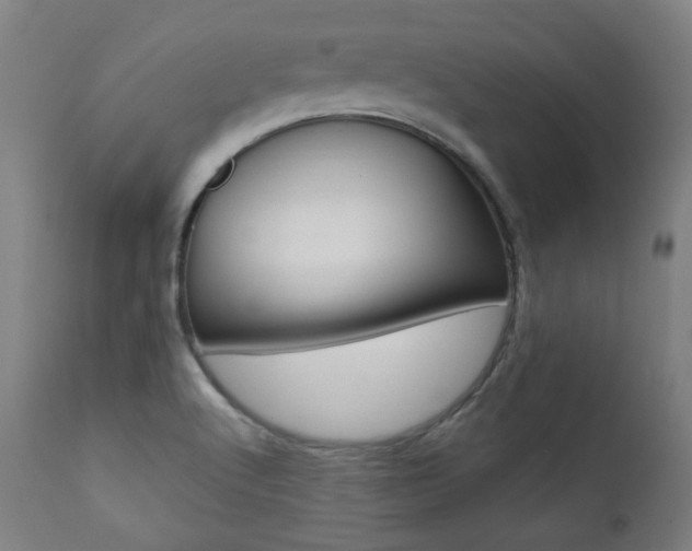 X0000111381512200907100925