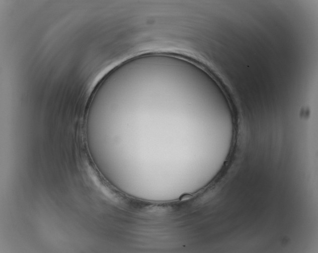 X0000111381513200907100925