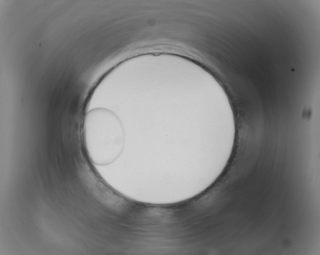 X0000111381514200907100925