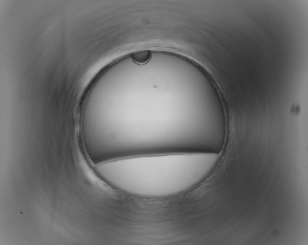 X0000111381515200907100925