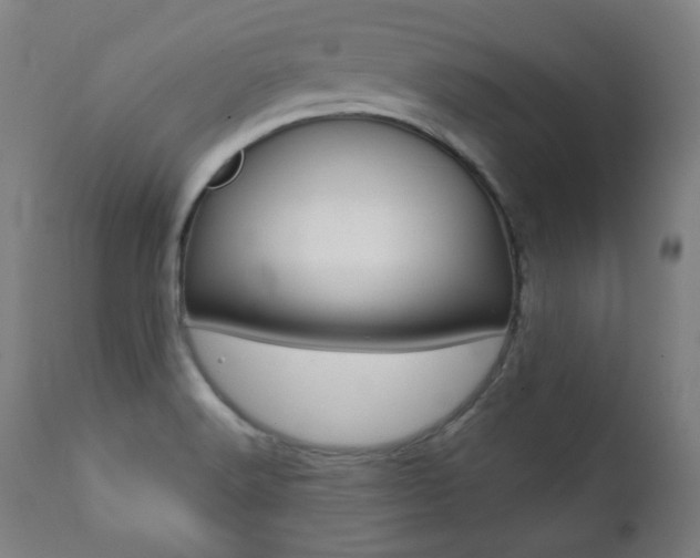 X0000111381516200907100925