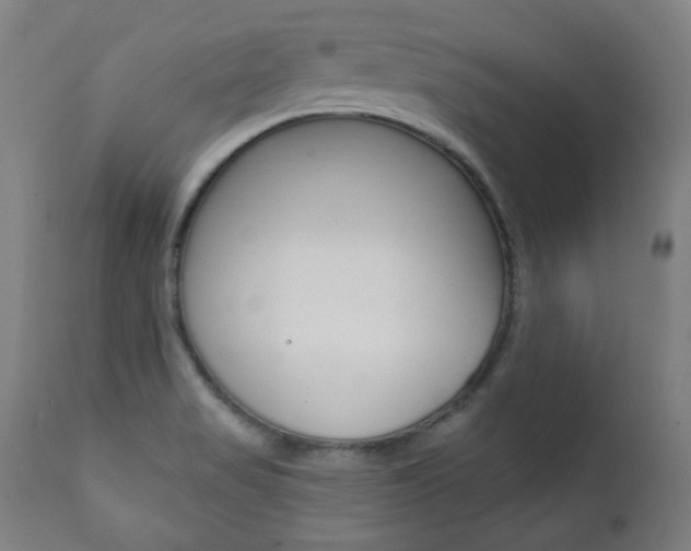 X0000111381517200907100925