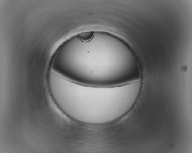 X0000111381518200907100925