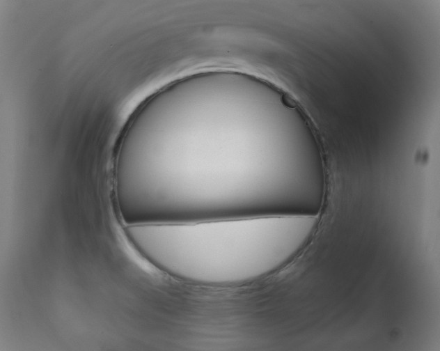 X0000111381519200907100925