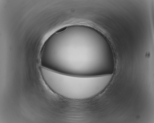 X0000111381520200907100925