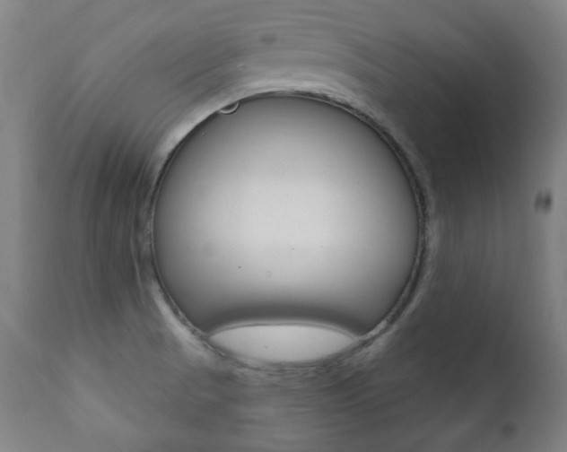 X0000111381521200907100925