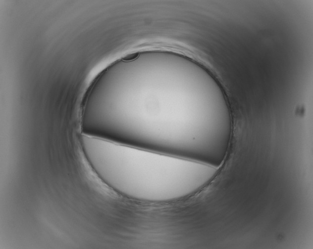 X0000111381522200907100925