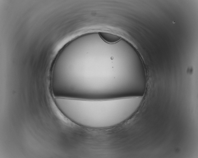 X0000111381523200907100925